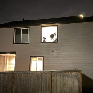 Diana added a photo of their purchase