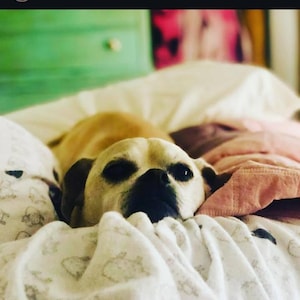 Karen ha aggiunto una foto del proprio acquisto