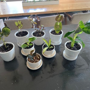 Jenna ha añadido una foto de su compra