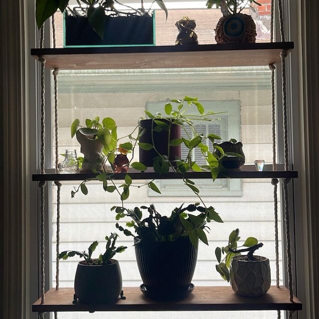 Filltouch 4-Tier Hanging Window Plant Shelf – Herb Planter With 16 Pieces