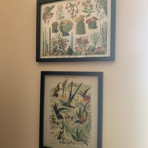 Heather added a photo of their purchase