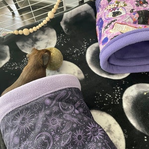 Meg added a photo of their purchase
