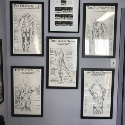 Pilates Anatomy Poster Set Etsy