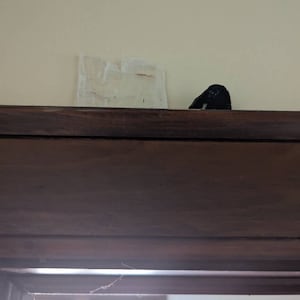 Etsy buyer added a photo of their purchase