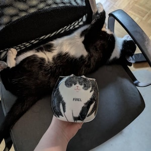 Paula added a photo of their purchase