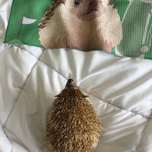 Jen added a photo of their purchase