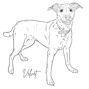 Tracy added a photo of their purchase