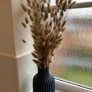 Polly added a photo of their purchase