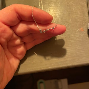 Paige added a photo of their purchase