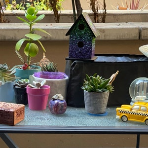 genyne added a photo of their purchase