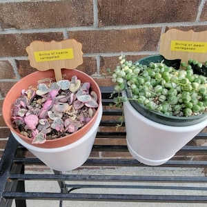 Valerie added a photo of their purchase