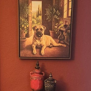 Dallas added a photo of their purchase