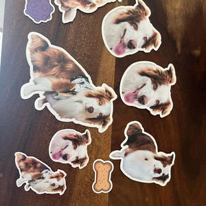 Anastasia added a photo of their purchase