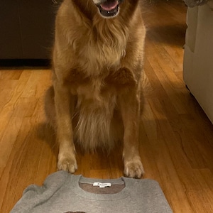 Lindsey added a photo of their purchase