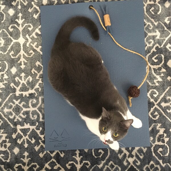 Black Cat 3 Toy Gift Set + Cat Yoga Mat main image 1