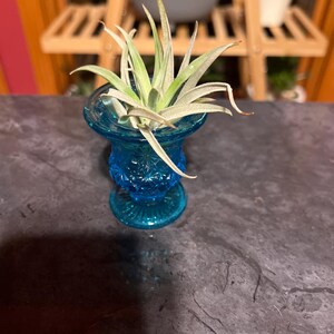 Julie added a photo of their purchase