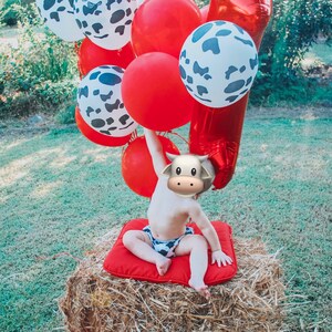 Boy Cake Smash Outfit, Farm Cake Smash, Cow Print, Barnyard Birthday, Boy 1st Birthday, Boy Cake Smash Set, 1st Birthday Photography Prop