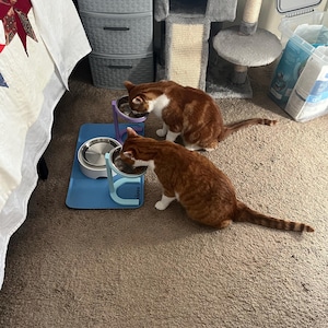 Margaret added a photo of their purchase