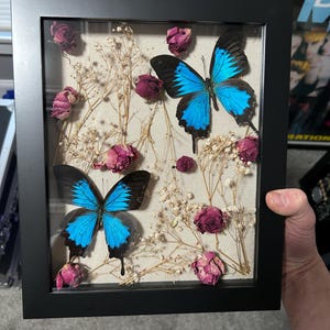 Marte ha añadido una foto de su compra
