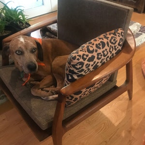 Ginger added a photo of their purchase