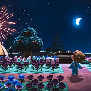 Nana adicionaram uma foto da sua compra