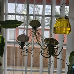 Bonny added a photo of their purchase