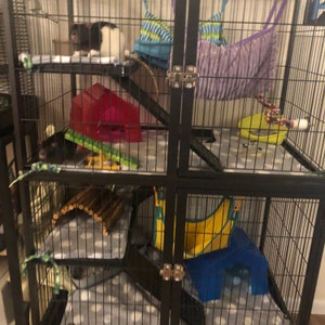 feisty ferret cage for rats