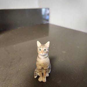 Tali adicionaram uma foto da sua compra