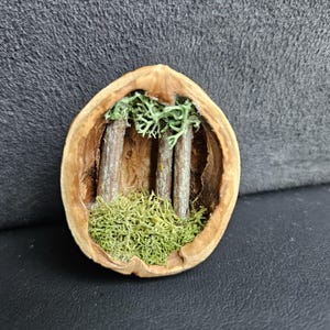 Mrs. added a photo of their purchase
