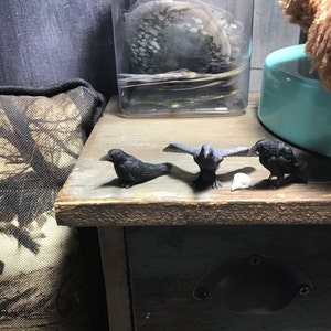 Renee added a photo of their purchase