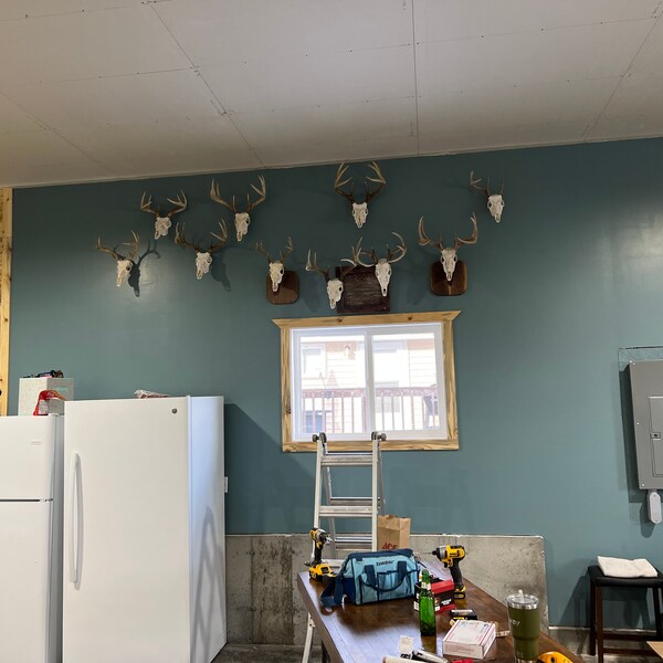 State Outline European Mount Plaques - European Mount Skull Hanger