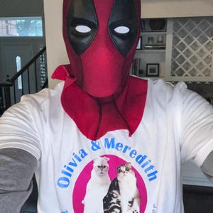 Taylor Swift Cats deadpool Etsy