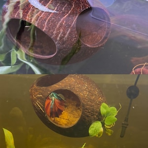 April added a photo of their purchase
