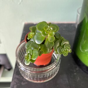 Monika ha añadido una foto de su compra