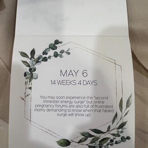 Jené added a photo of their purchase