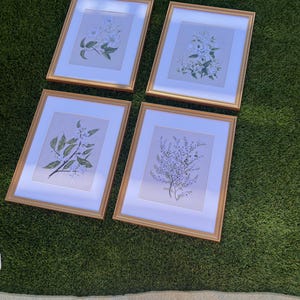 Jemima added a photo of their purchase