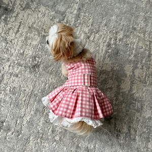 The Gingham & Lace Dog Dress