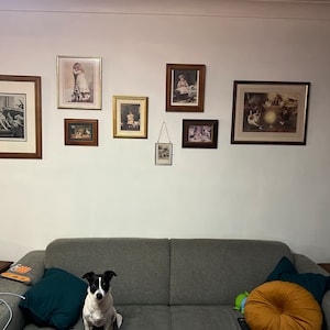 ashleymalice ha aggiunto una foto del proprio acquisto