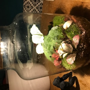 Suzannah added a photo of their purchase