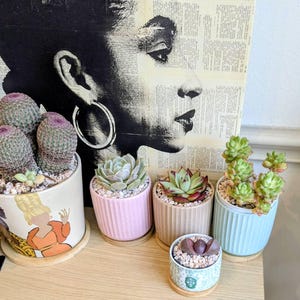 Dr. added a photo of their purchase