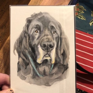 Kathryn heeft een foto van de aankoop toegevoegd