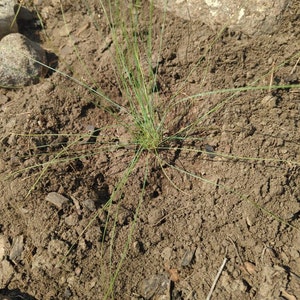 luz added a photo of their purchase