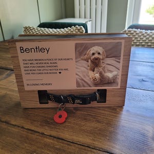 Tracy added a photo of their purchase