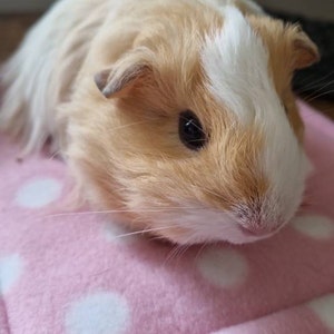 Jodie added a photo of their purchase