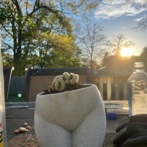 Butt Planter Booty Pot Woman Body Planters Nude Cheeky - Etsy