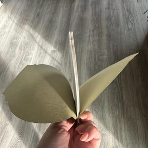 Illy added a photo of their purchase