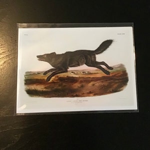 Conta inativa adicionaram uma foto da sua compra