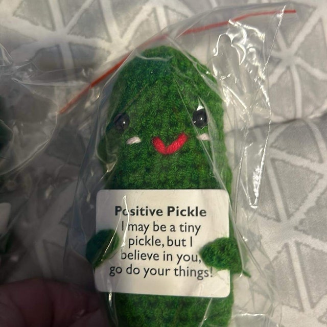 Emotional support pickle!🥰🥒🤗 Let this pickle be my your side to dil, pickle