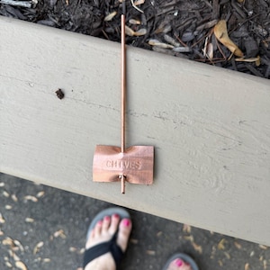 Ellen added a photo of their purchase