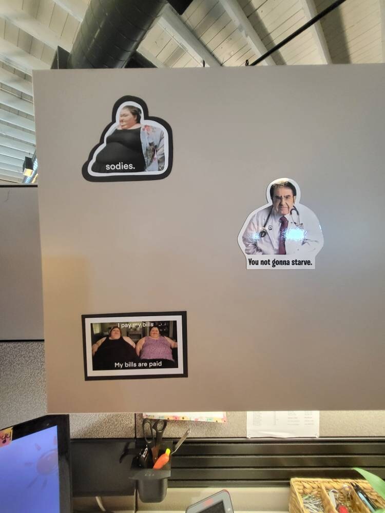 Amy Slaton magnet, 1000 lb sisters magnet, funny fridge magnet, sodies, TLC show, 1000 pound sisters, my 600 pound life, my bills are paid